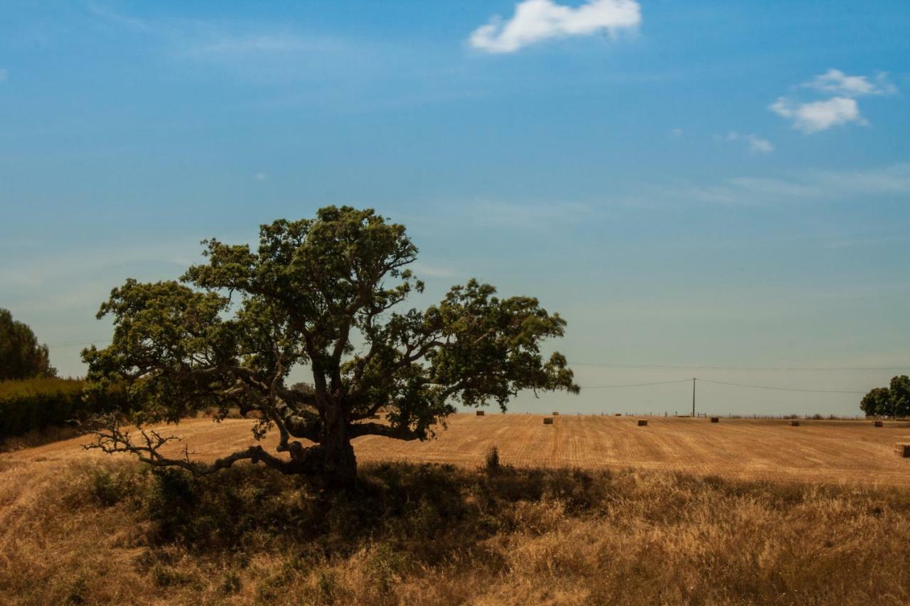 בית הארחה Bicos 	Vales Do Alentejo מראה חיצוני תמונה